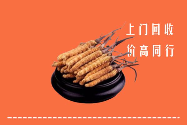 高价求购：中山市神湾镇回收散虫草