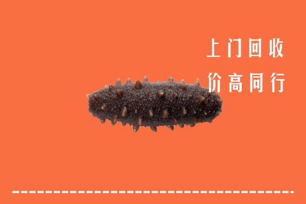 高价求购：中山市神湾镇回收海参