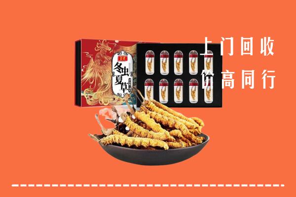 中山市神湾镇回收虫草